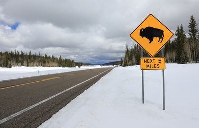 00103-3B9A0540-Watch for Bison sign along the Arizona State Highway 67-.jpg