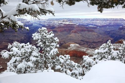 044-3B9A1009-Grand Canyon Winter Views.jpg