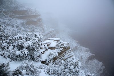0137-3B9A5578-Grand Canyon Winter Views from the Rim Trail.jpg