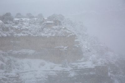 0156-3B9A5569-Snow Storm in Grand Canyon Village.jpg