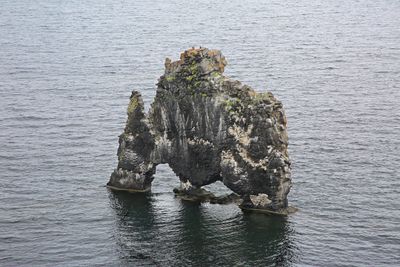 014-3B9A1367-Hvitserkur Rock-Troll of Northwest Iceland-in Hunafloi Bay.jpg