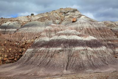 0012-3B9A7254-Spectacular Painted Desert Formations in the Petrified Forest National Park.jpg