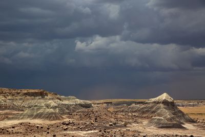 0021-3B9A0797-Awesome Views of the Petrified Forest National Park.jpg