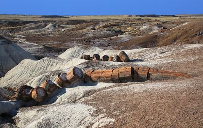 0029-3B9A9163-Petrified Wood along the Crystal Forest Trail.jpg