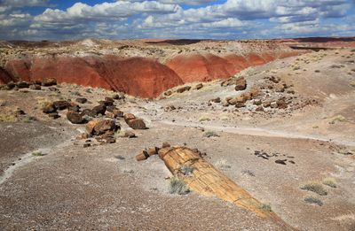 0031-3B9A3022-Beautiful Views of the Painted Desert & Petrified Forest National Park.jpg