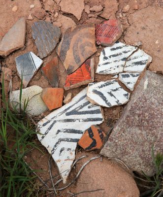 0035-3B9A8379-Pottery Shards in the Petrified Forest National Park.jpg