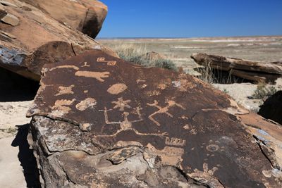 0045-3B9A8233-Petroglyph Panel in the Painted Desert-Petrified Forest National Park.jpg