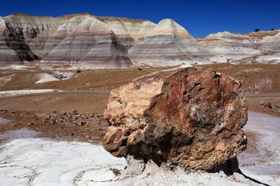 0046-3B9A7927-Petrified Wood in the Painted Desert-Petrified Forest National Park.jpg