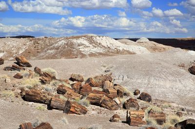 0065-3B9A3142-Painted Desert & Petrified Forest National Park Views.jpg