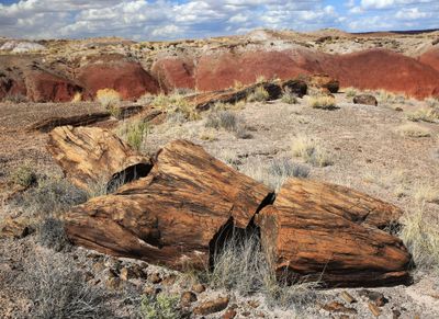 0066-3B9A3005-Views of the Petrified Forest & Painted Desert National Park.jpg
