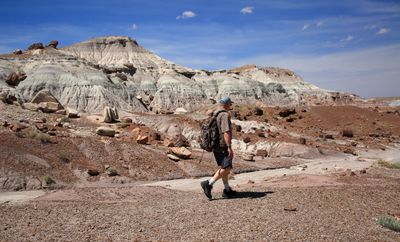 00101-3B9A0421-Hiking in the Petrified Forest National Park.jpg