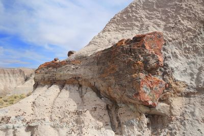 00107-3B9A9123-The Resting Place for a Petrified Tree in the Painted Desert.jpg