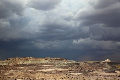00132-3B9A0809-Drama in the Petrified Forest National Park.jpg