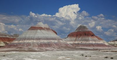 00148-3B9A1330-The Teepees in the Petrified Forest National Park.jpg