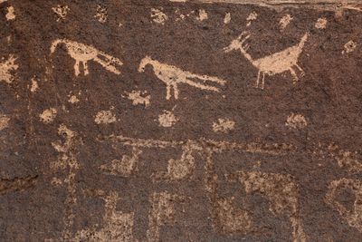00195-3B9A8202-Petroglyphs in the Painted Desert-Petrified Forest National Park.jpg