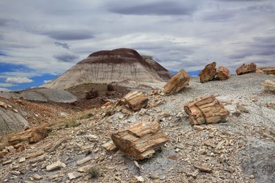 00196-3B9A8695-Petrified Wood in the Painted Desert.jpg