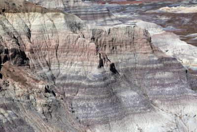 00204-3B9A7747-The Beauty of the Painted Desert.jpg