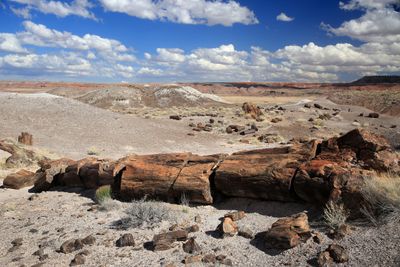 00206-3B9A3107-Painted Desert & Petrified Forest National Park Views.jpg