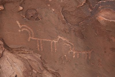 00211-3B9A8301-Petrified Forest National Park Petroglyph.jpg