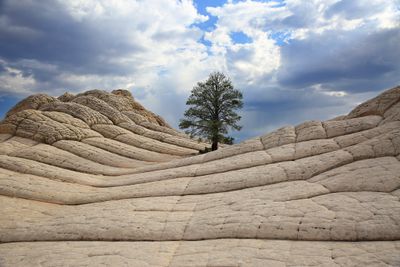 #021-3B9A3352-Wonder of nature in a sandstone enviornment-.jpg