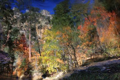 003-3B9A7814-Reflections of Autumn Colors in Oak Creek- rotated 180 degrees.jpg