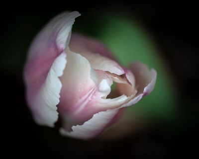 g13/21/405021/3/175809477.f2ef3589.JPEG