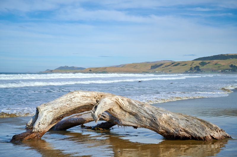 Invercargill and The Catlins