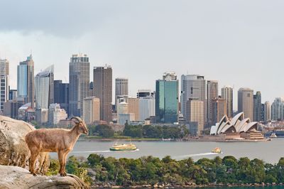 DSC_1334.jpg