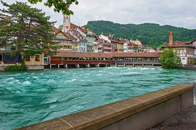 DSC_9622.jpg