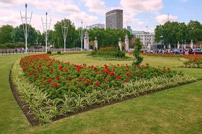 DSC_0168.jpg