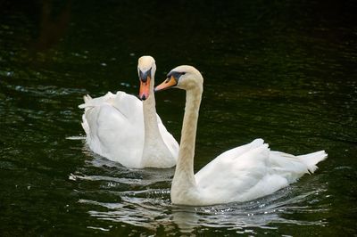DSC_0176.jpg