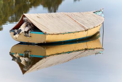 DSC_6590.jpg