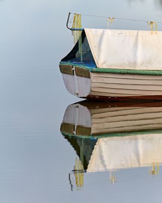 DSC_6597.jpg