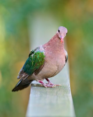 DSC_7551.jpg