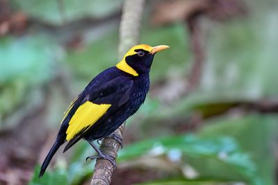 DSC_6655.jpg