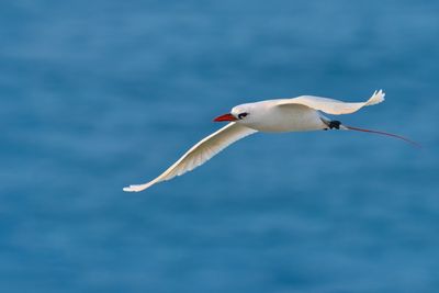 DSC_9577.jpg