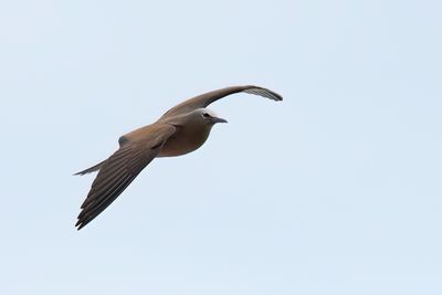 DSC_0009.jpg