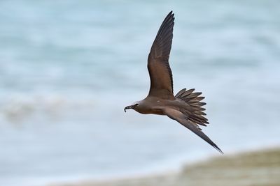 DSC_0046.jpg