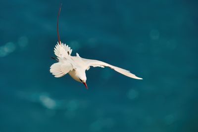 DSC_0429.jpg