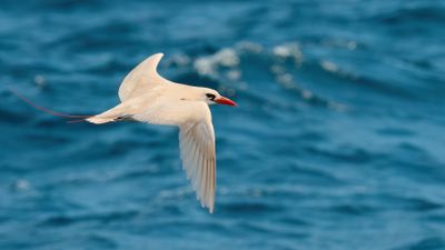 DSC_0494.jpg