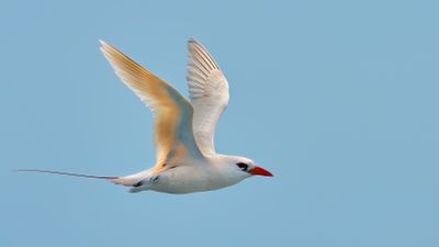 DSC_0496.jpg