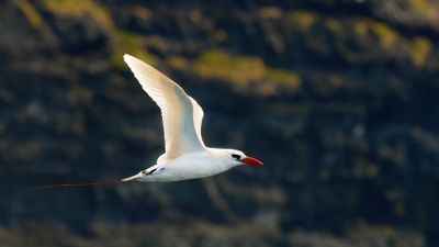 DSC_0511.jpg