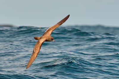 DSC_0537.jpg