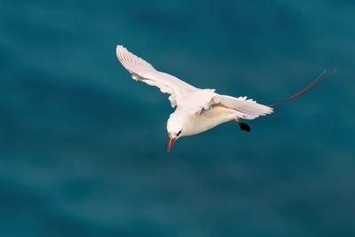 DSC_0410.jpg