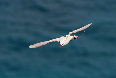DSC_0411.jpg