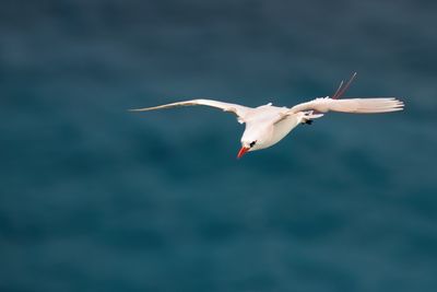 DSC_0412.jpg