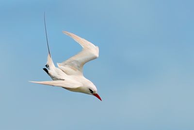 DSC_0431.jpg