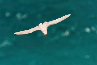 DSC_0441.jpg