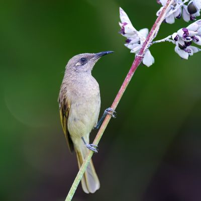 DSC_1900.jpg