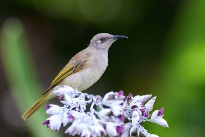DSC_1905.jpg